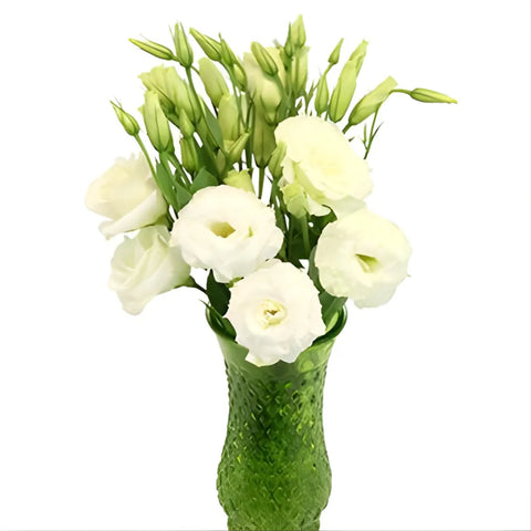 White Lisianthus Flowers Express Delivery