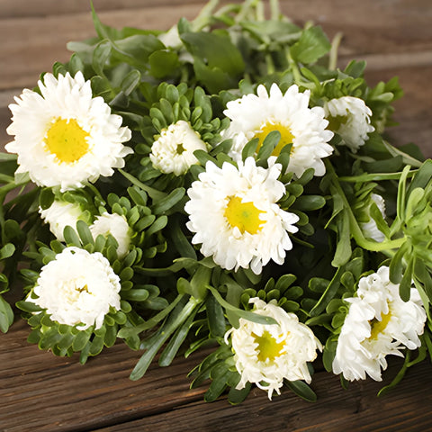 White Matsumoto Aster Flowers