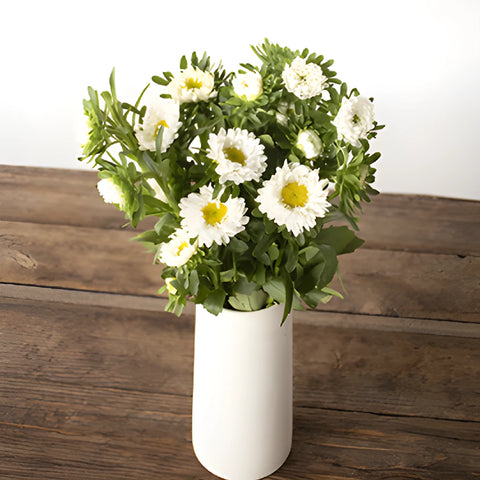 White Matsumoto Aster Flowers