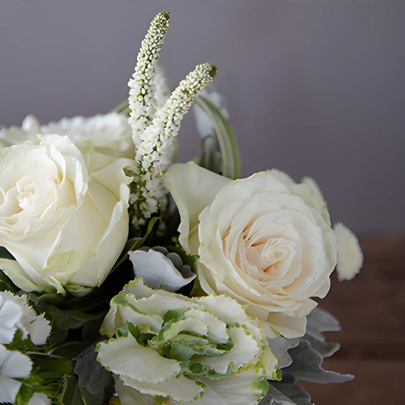 Look at these white flowers