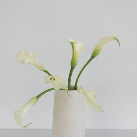 White Mini Calla Lily Flower Medium Vase - Image