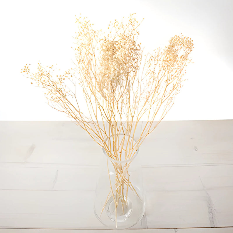 Natural Dried Baby's Breath Flower