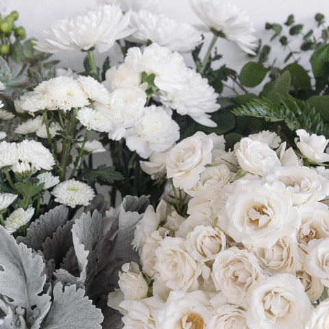 White Nymbus Flower Combo Pack Close Up - Image