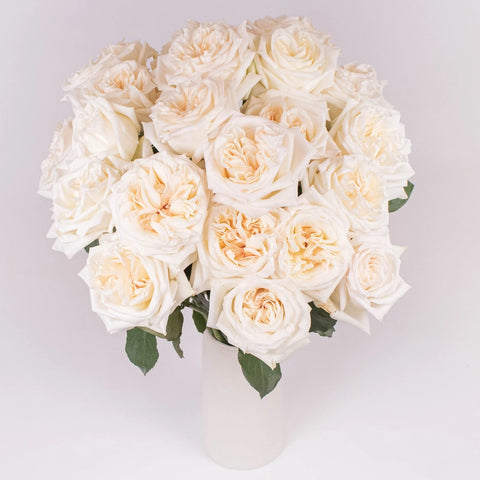 Flawless White Ohara Garden Rose Bouquet