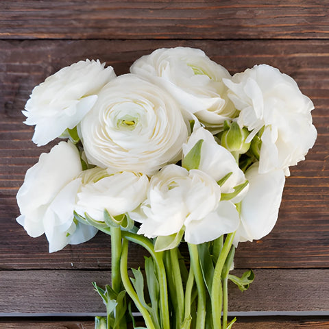 Save The Ranunculus Growers DIY Flower Kit