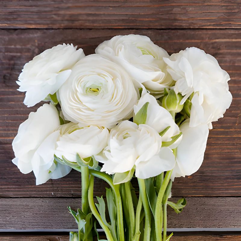 Save The Ranunculus Growers DIY Flower Kit