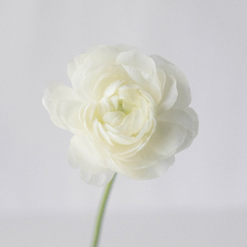 Pure White Flower Picks