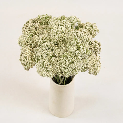 White Rice Flower Bunch in Vase
