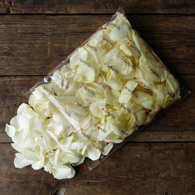 White Fresh Rose Petals Wholesale