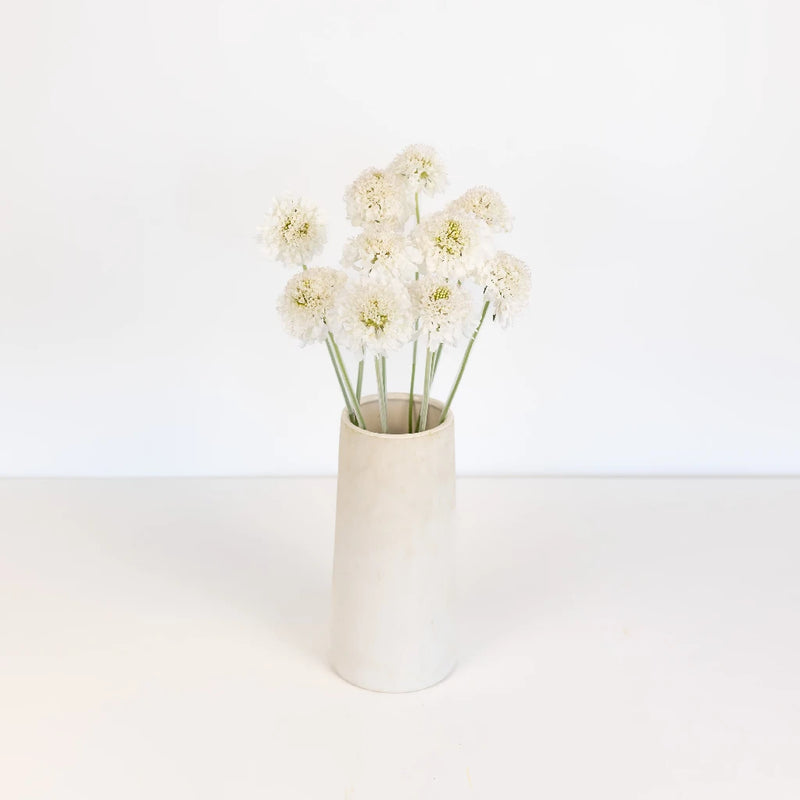 White Scabiosa Flower Vase - Image