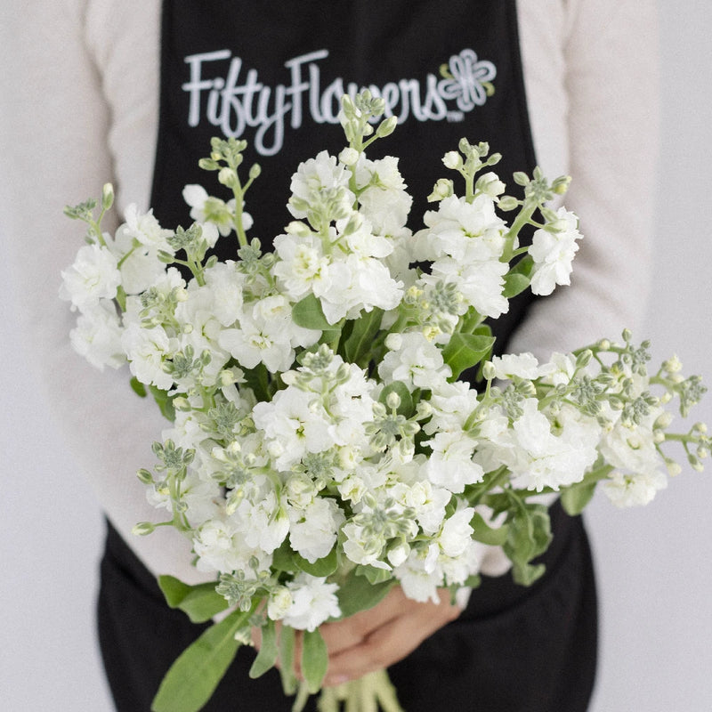 White Spray Stock Flower Apron - Image
