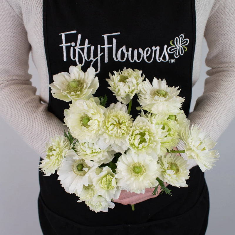 White Star Anemone Flower Bunch in Hand
