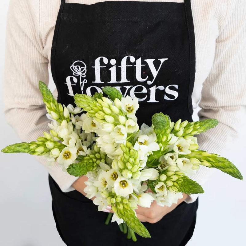 White Star Of Bethlehem Flowers Apron - Image