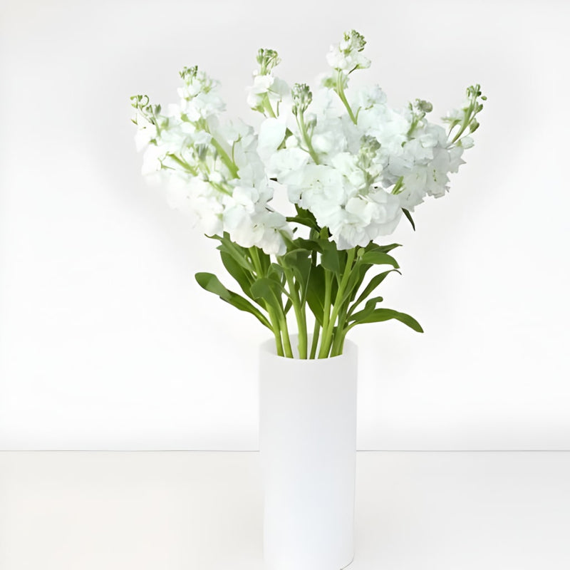 White Stock Flower Vase - Image