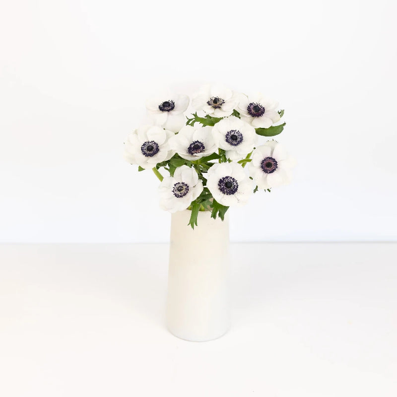 White With Dark Centers Fresh Cut Designer Anemones Vase - Image