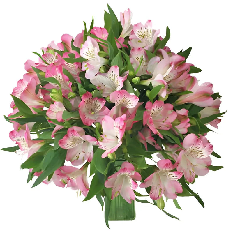White With Pink Edges Peruvian Lily Vase - Image