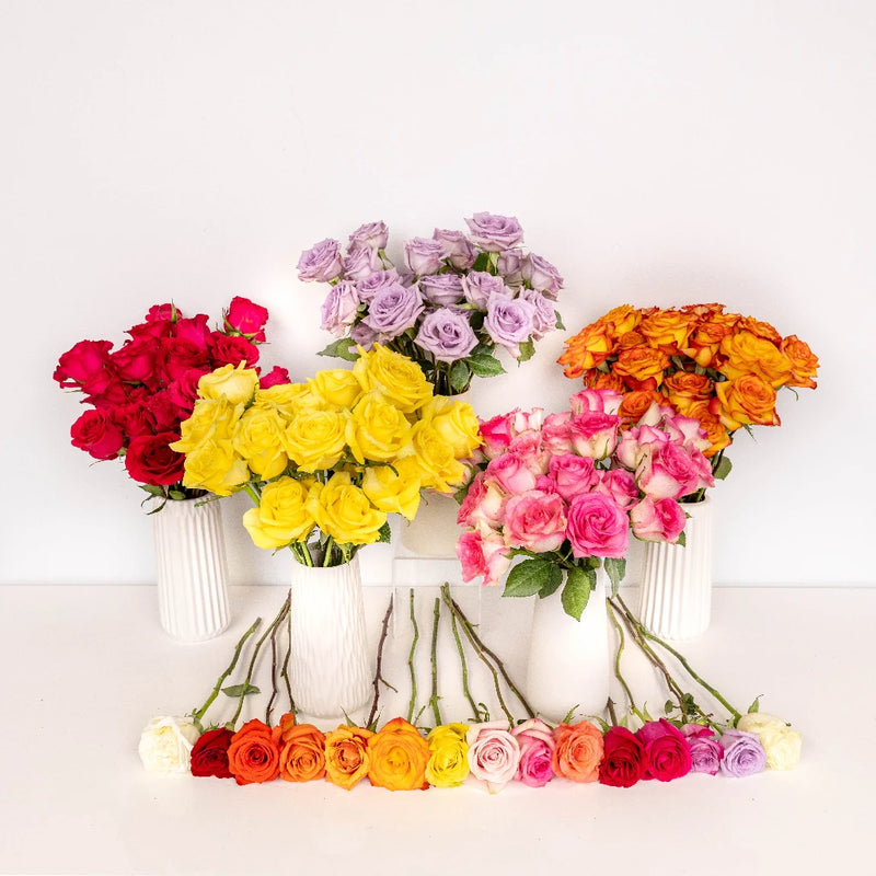 Wholesale Bulk Roses 125 Stems Your Colors Stem - Image
