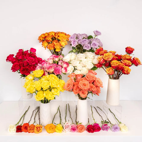 Wholesale Bulk Roses 200 Stems Your Colors Stem - Image