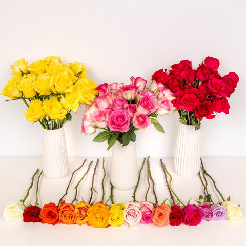 Wholesale Bulk Roses 75 Stems Your Colors Stem - Image