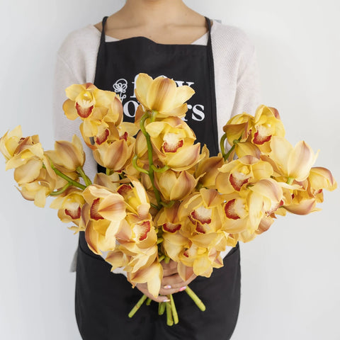 Wholesale Cymbidium Orchids Orange Apron - Image