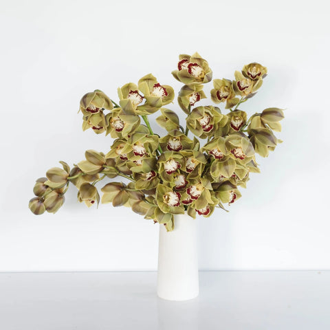 Wholesale Cymbidium Orchids Orange Vase - Image