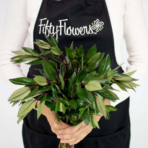 Hebe Greenery Bunch in Hand