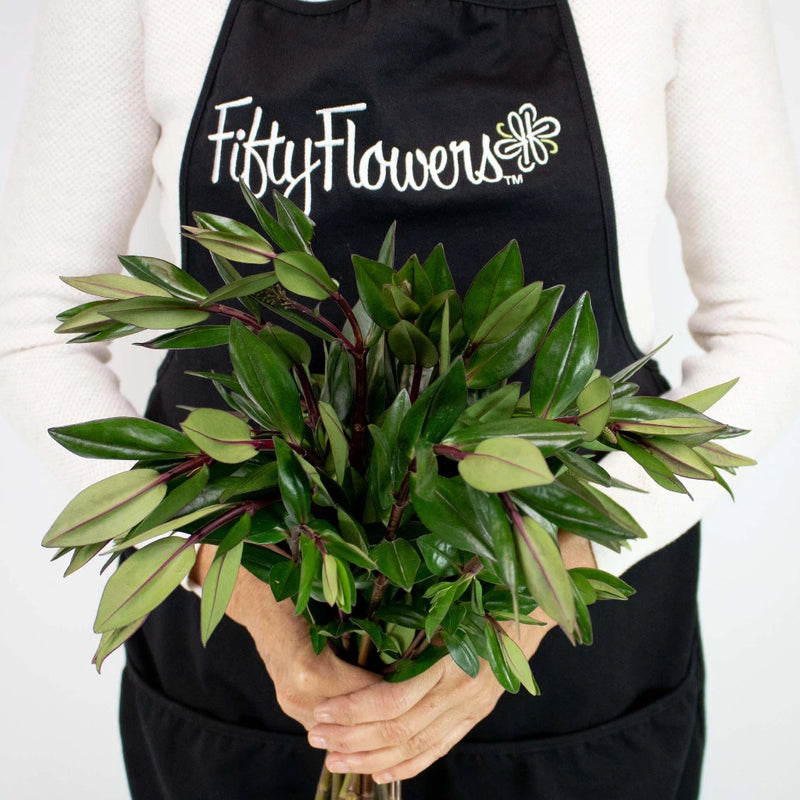 Hebe Greenery Bunch in Hand