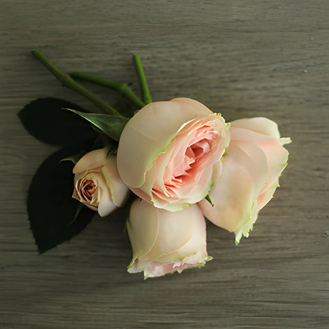 Pink Spray Rose Stem laying down