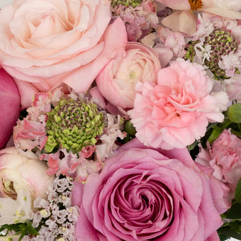 Wicked Pink Diy Flower Kit Close Up - Image
