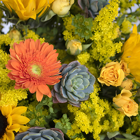 Wildflower Succulent Centerpiece
