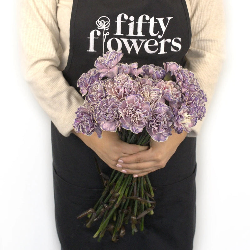 Wild Pink Wholesale Carnation Bulk Flower Apron - Image