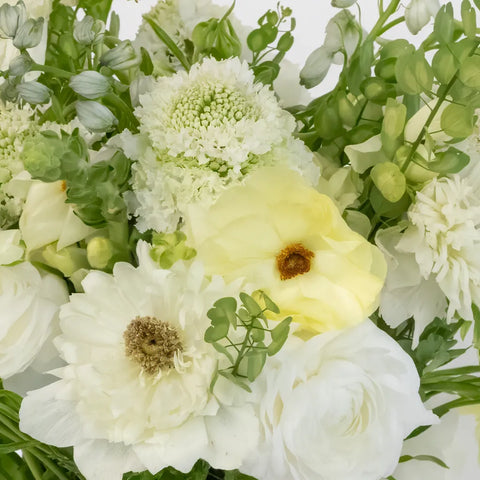 Wildflower Wishes Diy Flower Kit Close Up - Image