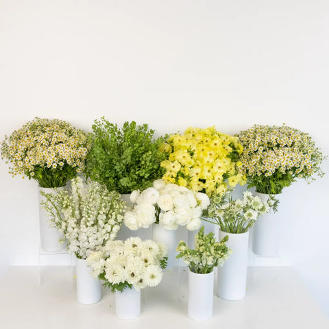 Wildflower Wishes Diy Flower Kit Recipe - Image