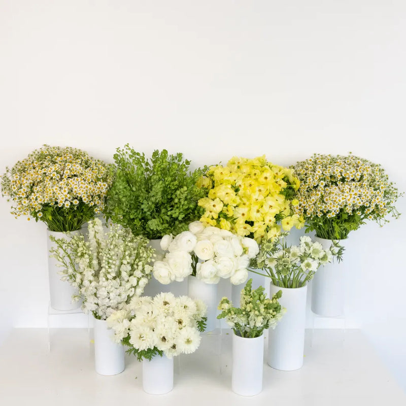 Wildflower Wishes Diy Flower Kit Recipe - Image