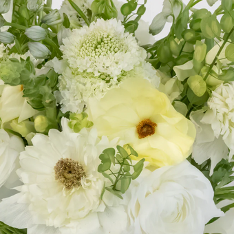 Wildflower Wishes Flower Collection