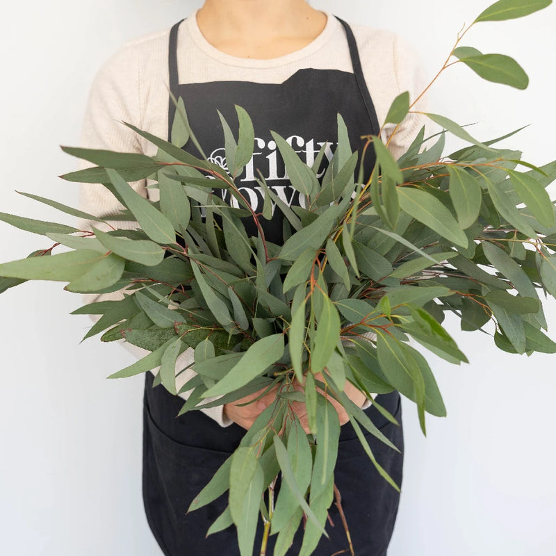 Willow Fresh Eucalyptus Greenery Apron - Image