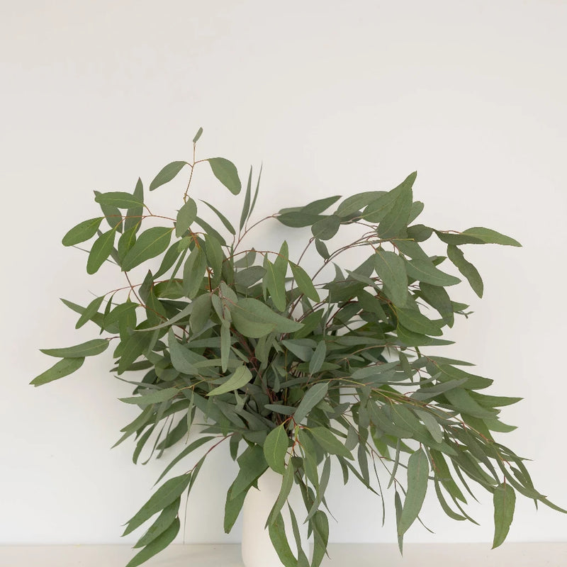 Willow Fresh Eucalyptus Greenery Vase - Image