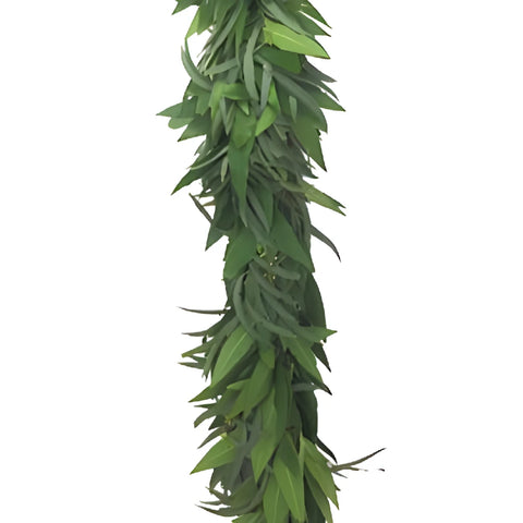 Willow Seeded Eucalyptus and Bay Leaf Wholesale Greenery Up Close