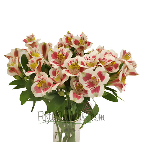 Wine And White Peruvian Lilies Vase - Image