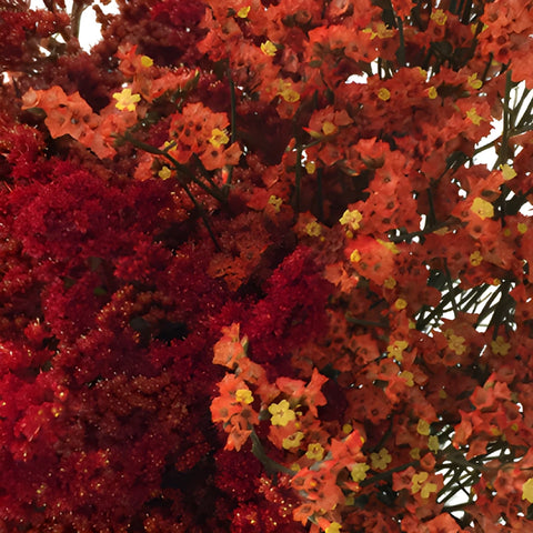 Wispy Filler Red and Orange DIY Flower Kit Up Close