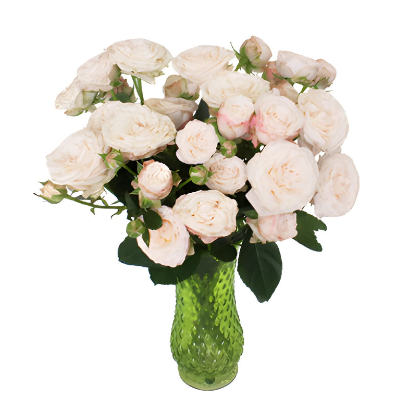 Wispy Pink Bulk Spray Rose