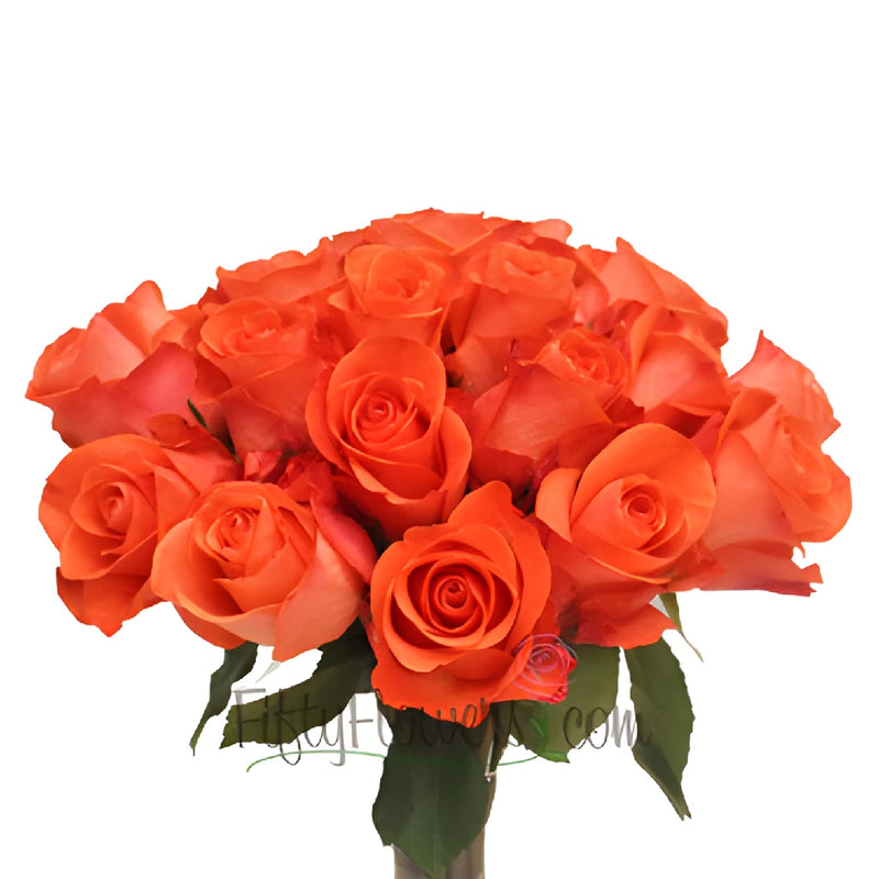 Salmon Orange Bulk Rose