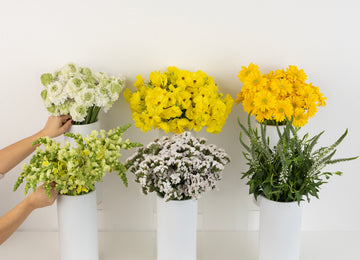 Yellow And White Sunshine Bouquet Bar Flower Kit Close Up - Image