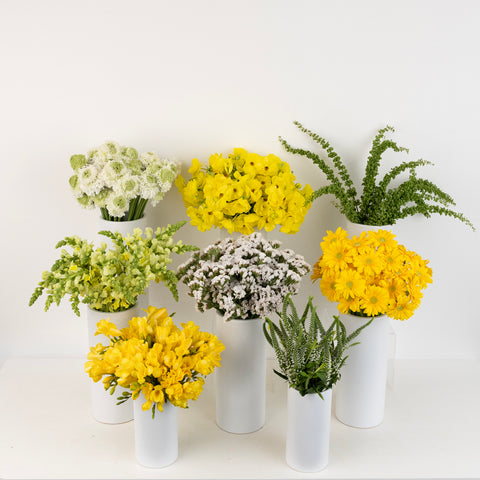 Yellow And White Sunshine Textured Diy Flower Kit Stem - Image