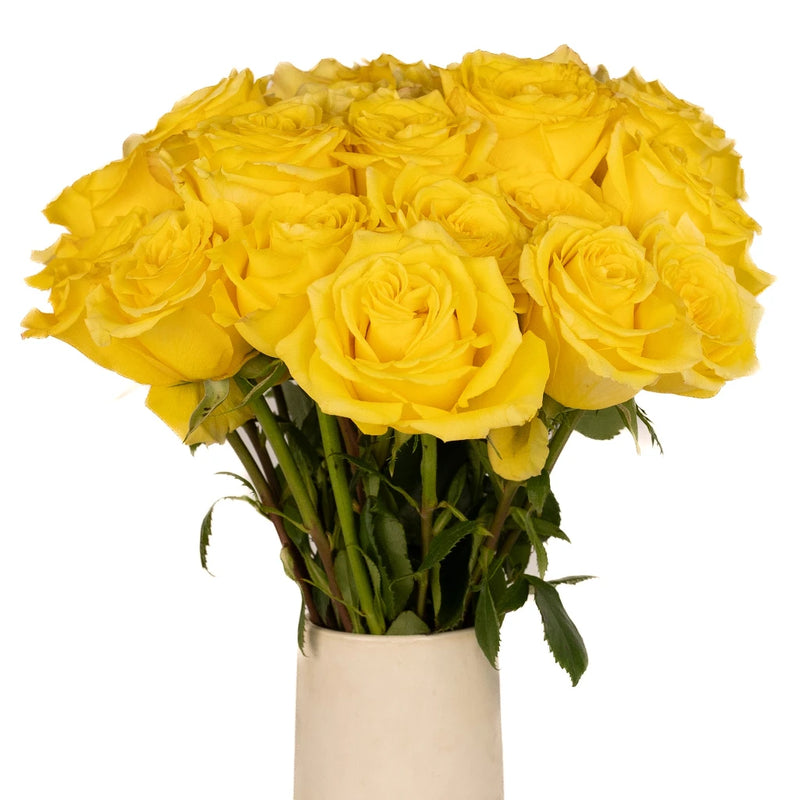 Yellow Bikini Rose Vase - Image