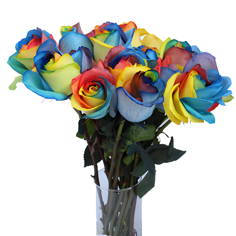 Primary Colors Rainbow Tinted Roses