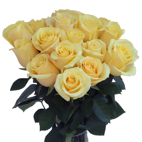 Wholesale Roses In a vase