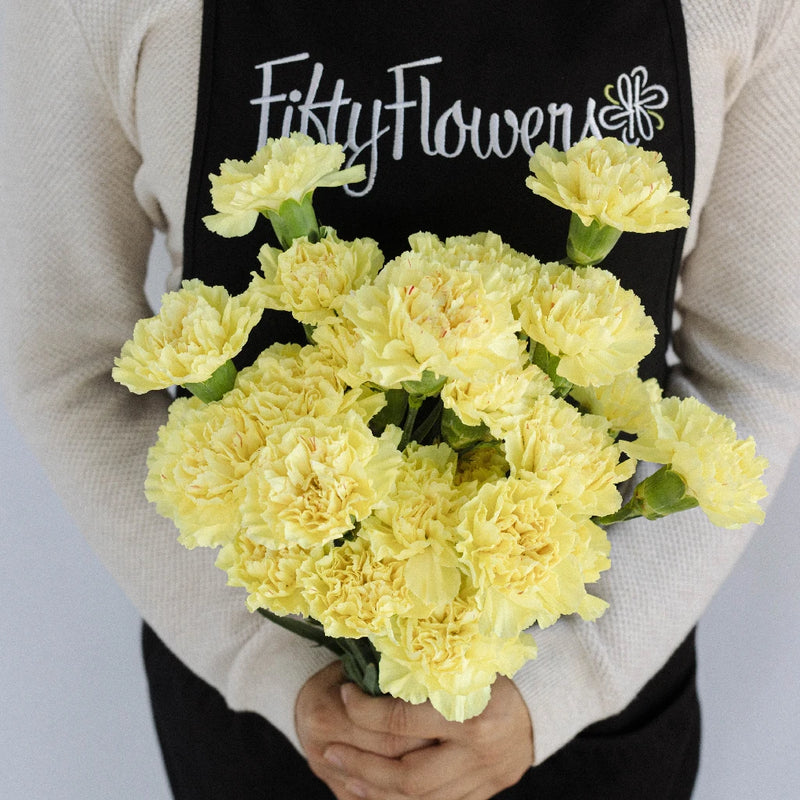 Yellow Carnations Flowers Apron - Image