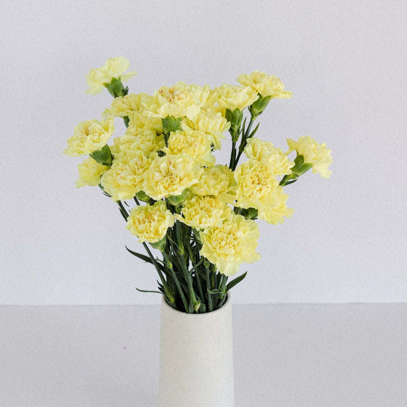 Yellow Carnations Flowers Vase - Image