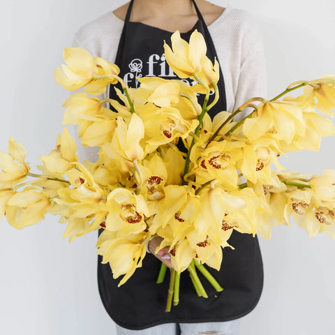 Yellow Cymbidium Orchids Apron - Image